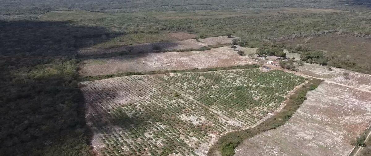 Foto de rancho en venta en 1 , teya, teya, yucatán, 0 No. 05