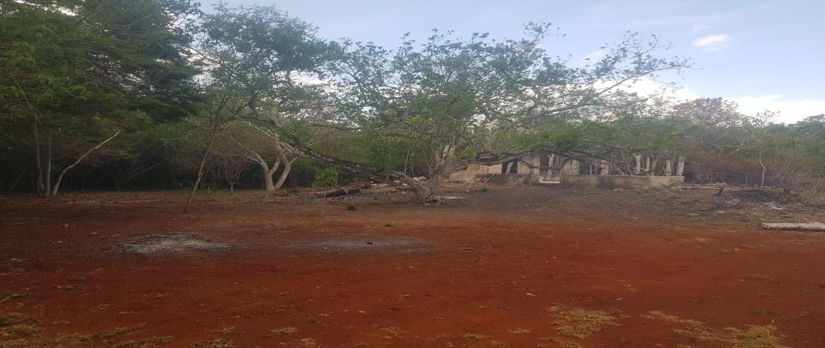 Foto de rancho en 1 , tinum, tinum, yucatán, 0 foto 03 Foto de rancho en venta en 1 , tinum, tinum, yucatán, 0 No. 03