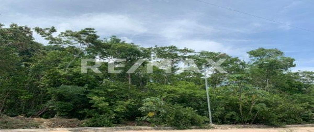 Foto de terreno habitacional en 1 , tulum centro, tulum, quintana roo, 0 foto 01 Foto de terreno habitacional en venta en 1 , tulum centro, tulum, quintana roo, 0 No. 01
