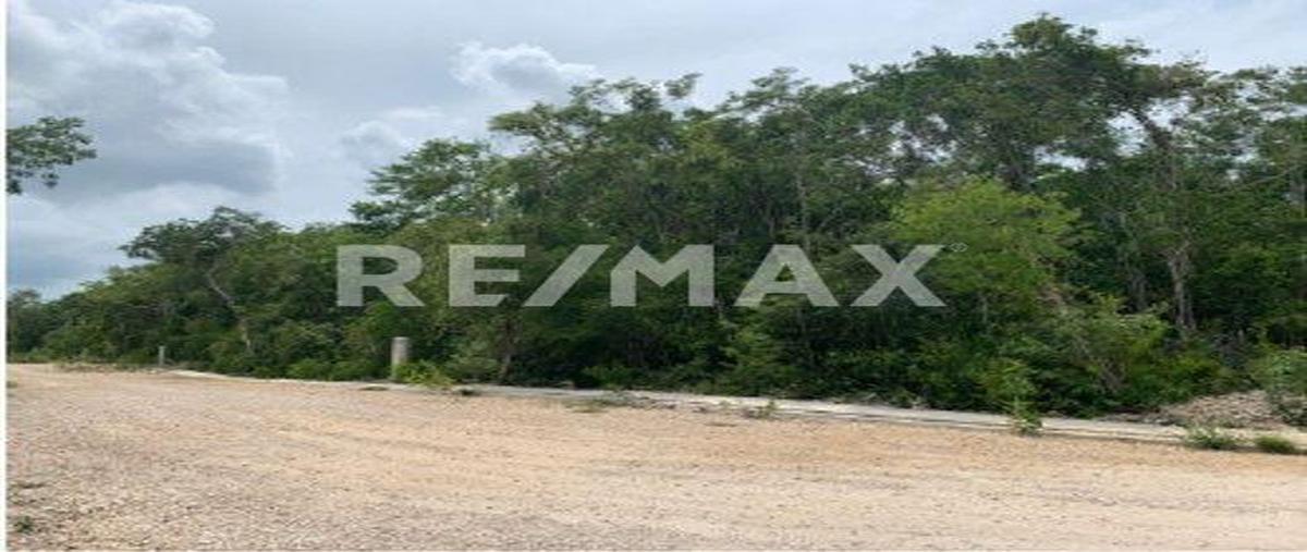 Foto de terreno habitacional en 1 , tulum centro, tulum, quintana roo, 0 foto 03 Foto de terreno habitacional en venta en 1 , tulum centro, tulum, quintana roo, 0 No. 03