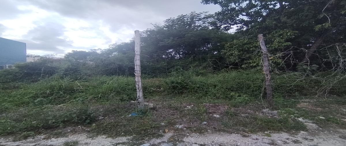Foto de terreno habitacional en 1 , valladolid centro, valladolid, yucatán, 0 foto 03 Foto de terreno habitacional en venta en 1 , valladolid centro, valladolid, yucatán, 0 No. 03
