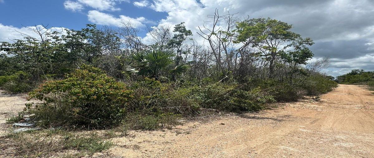 Foto de terreno habitacional en 1 , villas del sol "plus", solidaridad, quintana roo, 30782540 foto 02 Foto de terreno habitacional en venta en 1 , villas del sol "plus", solidaridad, quintana roo, 30782540 No. 02