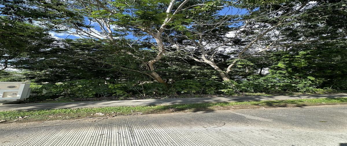 Foto de terreno habitacional en venta en 1 , vista alegre norte, mérida, yucatán, 30455909 No. 04