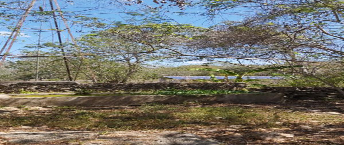 Foto de rancho en venta en 1 , xanaba, izamal, yucatán, 25323530 No. 03