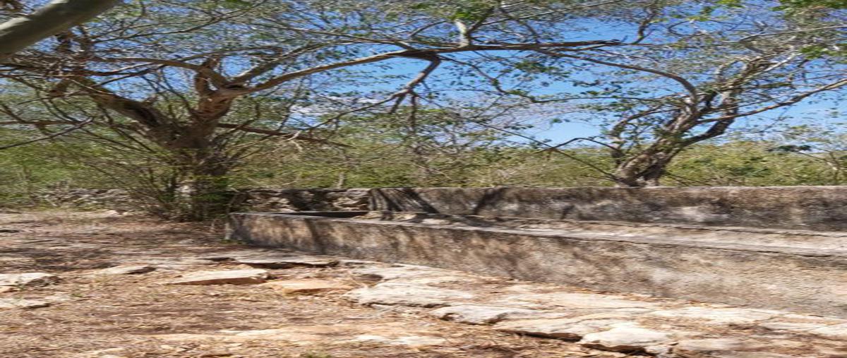 Foto de rancho en venta en 1 , xanaba, izamal, yucatán, 25323530 No. 04