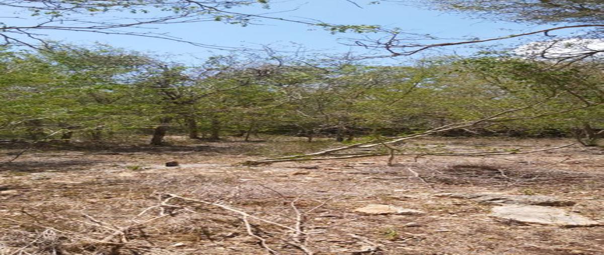 Foto de rancho en venta en 1 , xanaba, izamal, yucatán, 25323530 No. 05