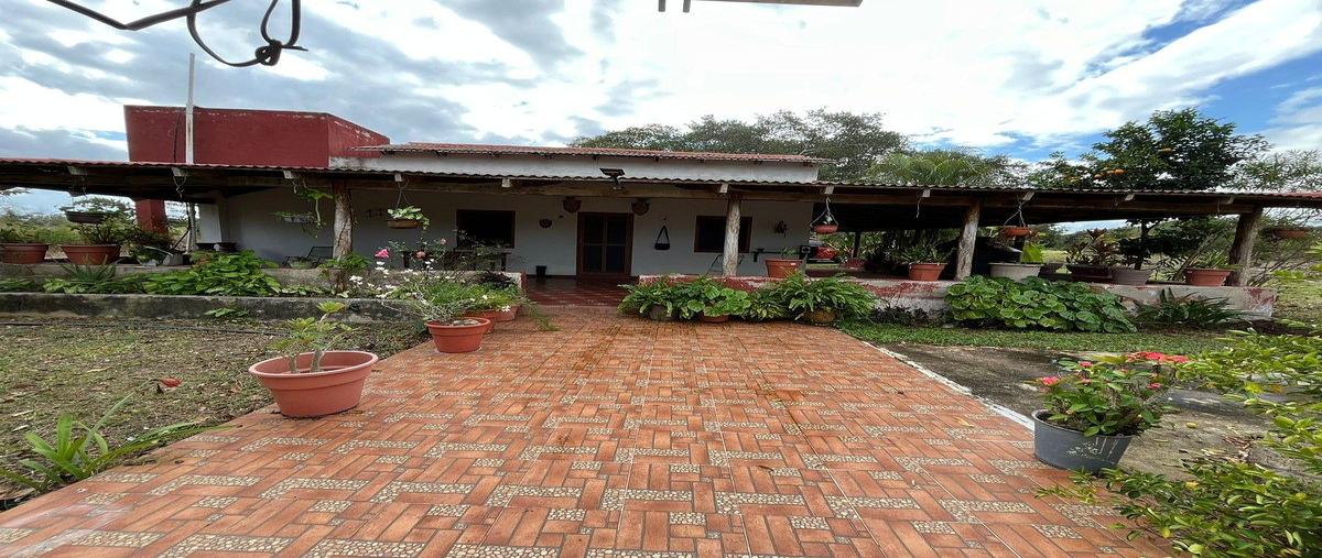 Foto de rancho en 1 , xpanha toro, tizimín, yucatán, 0 foto 01 Foto de rancho en venta en 1 , xpanha toro, tizimín, yucatán, 0 No. 01