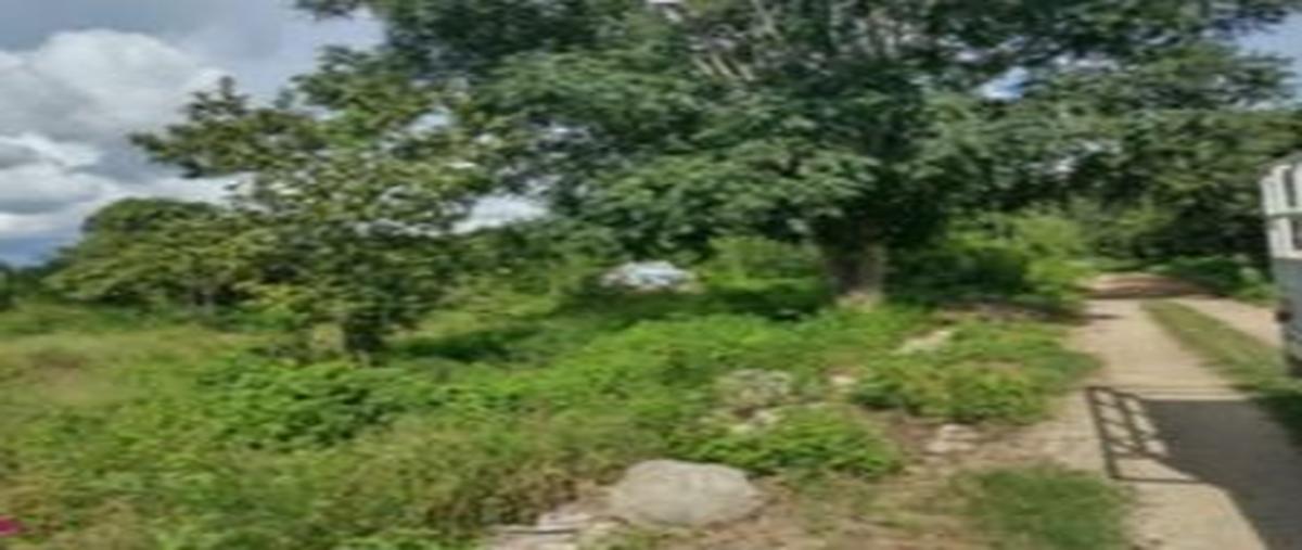 Foto de terreno habitacional en venta en 1 , yaxche de peón, ucú, yucatán, 30097794 No. 04