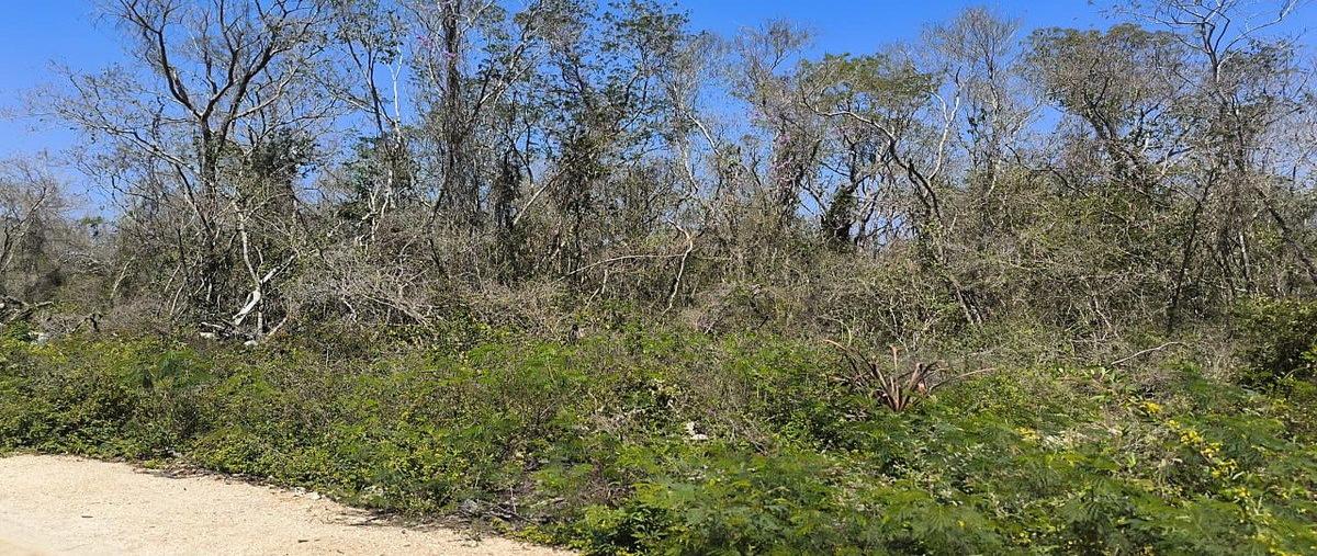 Foto de terreno habitacional en venta en 1 , yaxche de peón, ucú, yucatán, 0 No. 05