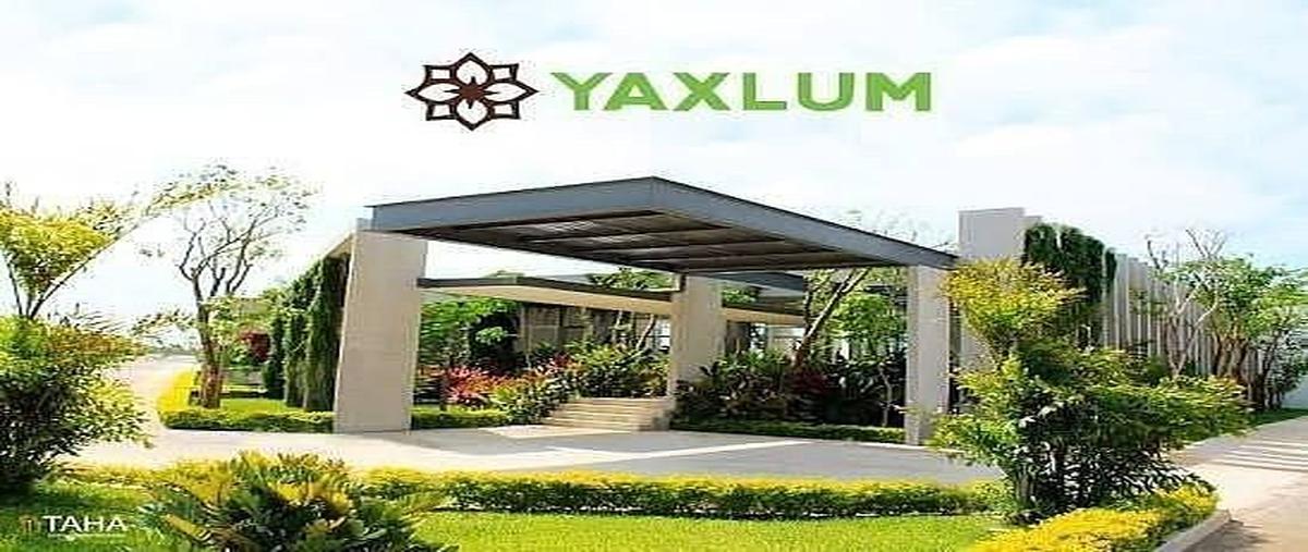 Foto de terreno habitacional en 1 , yaxkukul, yaxkukul, yucatán, 0 foto 03 Foto de terreno habitacional en venta en 1 , yaxkukul, yaxkukul, yucatán, 0 No. 03