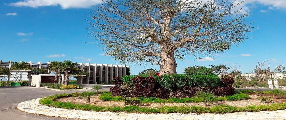 Foto de terreno habitacional en venta en 1 , yaxkukul, yaxkukul, yucatán, 31082544 No. 04