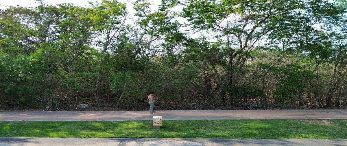 Foto de terreno habitacional en 1 , yucatán country club, mérida, yucatán, 0 foto 01 Foto de terreno habitacional en venta en 1 , yucatán country club, mérida, yucatán, 0 No. 01