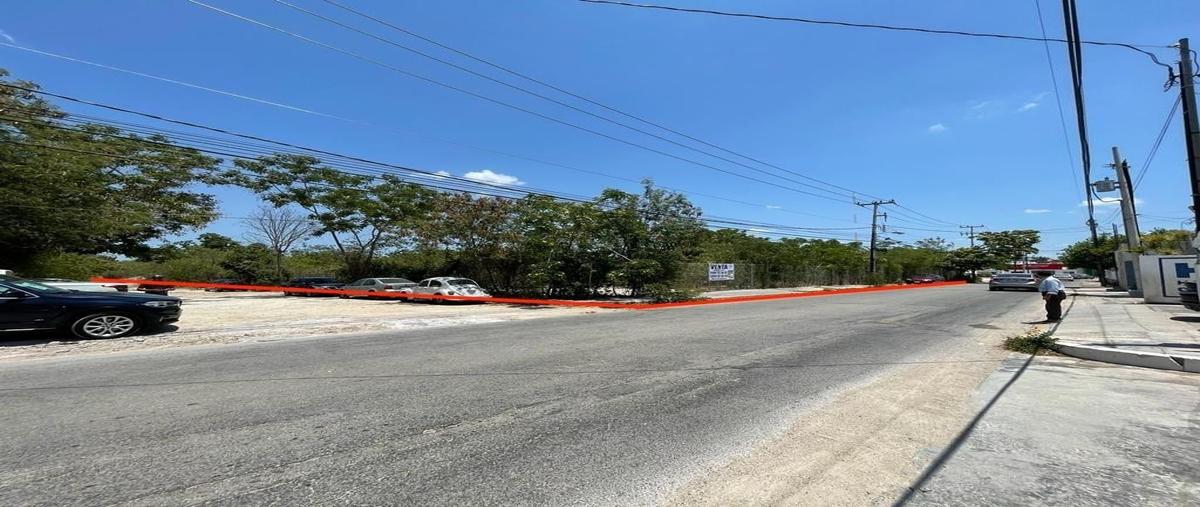 Foto de terreno habitacional en venta en 10 a , chuburna de hidalgo, mérida, yucatán, 26119647 No. 04