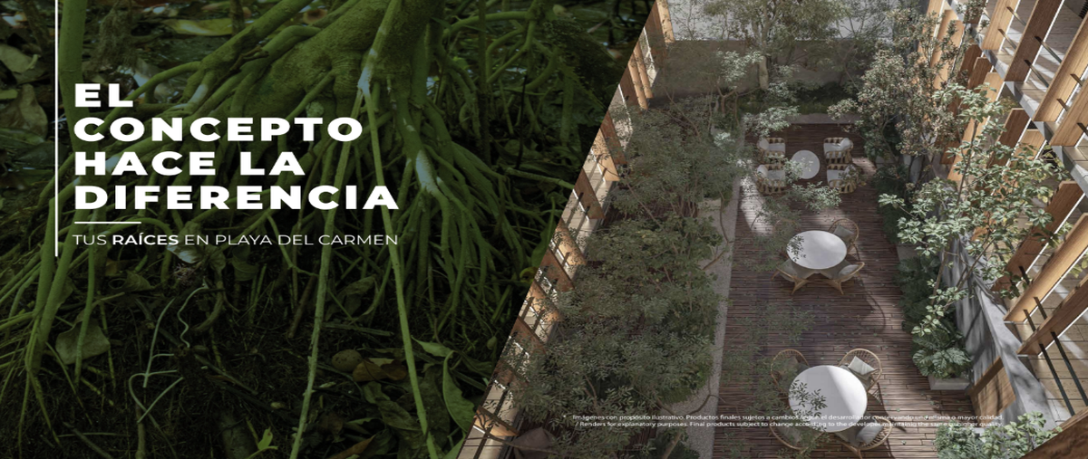 Foto de local en venta en 10 avenida norte , gonzalo guerrero, bacalar, quintana roo, 0 No. 05