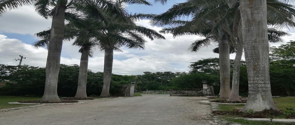 Foto de casa en venta en 10 , chicxulub, chicxulub pueblo, yucatán, 25124210 No. 03