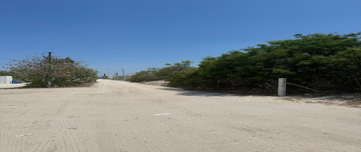 Foto de terreno habitacional en 10 , chicxulub puerto, progreso, yucatán, 28139341 foto 02 Foto de terreno habitacional en venta en 10 , chicxulub puerto, progreso, yucatán, 28139341 No. 02