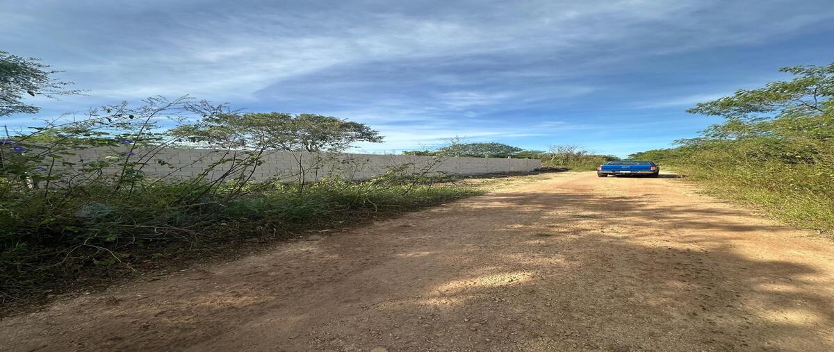 Foto de terreno habitacional en venta en 10 , conkal, conkal, yucatán, 0 No. 03