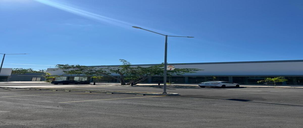 Foto de local en 10 , conkal, conkal, yucatán, 0 foto 02 Foto de local en renta en 10 , conkal, conkal, yucatán, 0 No. 02