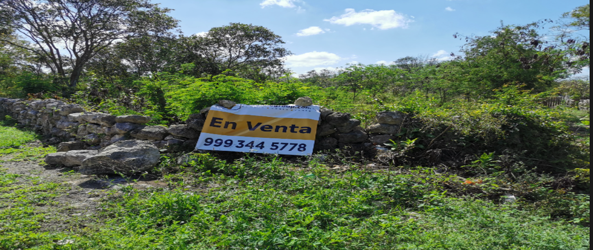 Foto de terreno habitacional en 10 , cosgaya, mérida, yucatán, 25054313 foto 03 Foto de terreno habitacional en venta en 10 , cosgaya, mérida, yucatán, 25054313 No. 03