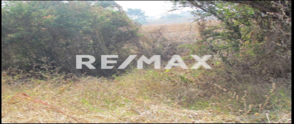 Foto de terreno habitacional en venta en 10 de abril , 10 de abril, ayala, morelos, 0 No. 05