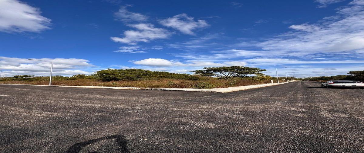 Foto de terreno habitacional en venta en 10 , dzitya, mérida, yucatán, 0 No. 05