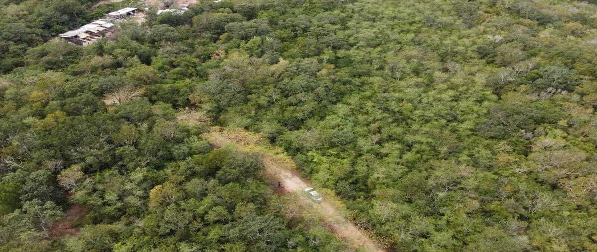 Foto de terreno habitacional en venta en 10 , kanasin, kanasín, yucatán, 28316349 No. 03