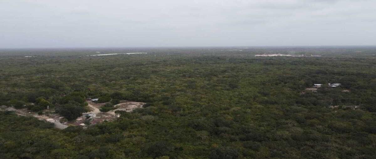 Foto de terreno habitacional en venta en 10 , kanasin, kanasín, yucatán, 28316349 No. 05