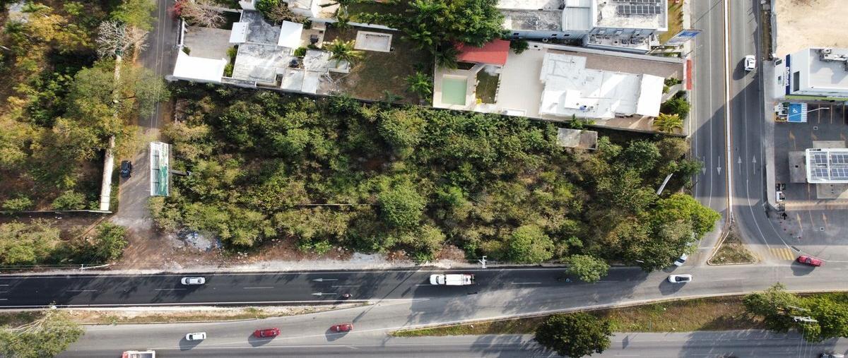 Foto de terreno comercial en 10 , montebello, mérida, yucatán, 29272763 foto 05 Foto de terreno comercial en renta en 10 , montebello, mérida, yucatán, 29272763 No. 05
