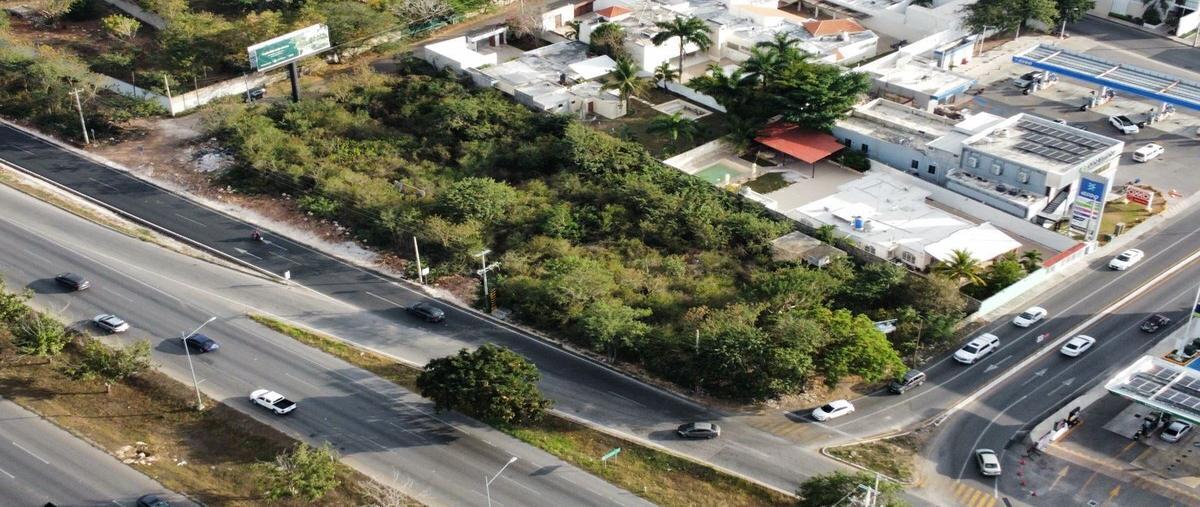 Foto de terreno comercial en renta en 10 , montebello, mérida, yucatán, 30603373 No. 07