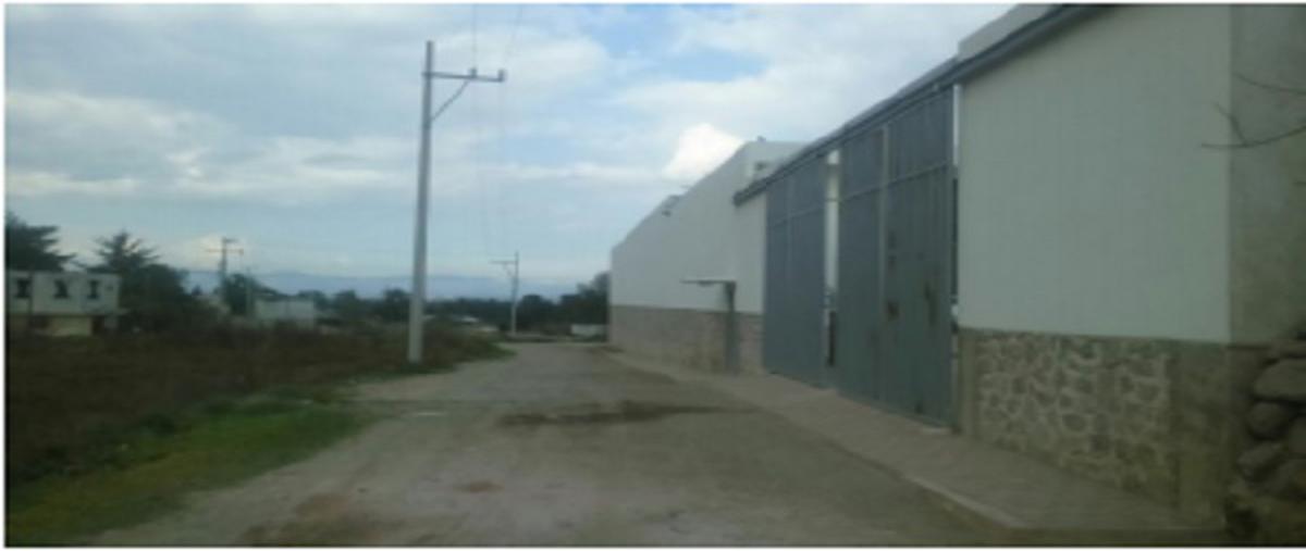 Foto de nave industrial en 10 norte , nopalucan de la granja, nopalucan, puebla, 9232250 foto 01 Foto de nave industrial en venta en 10 norte , nopalucan de la granja, nopalucan, puebla, 9232250 No. 01