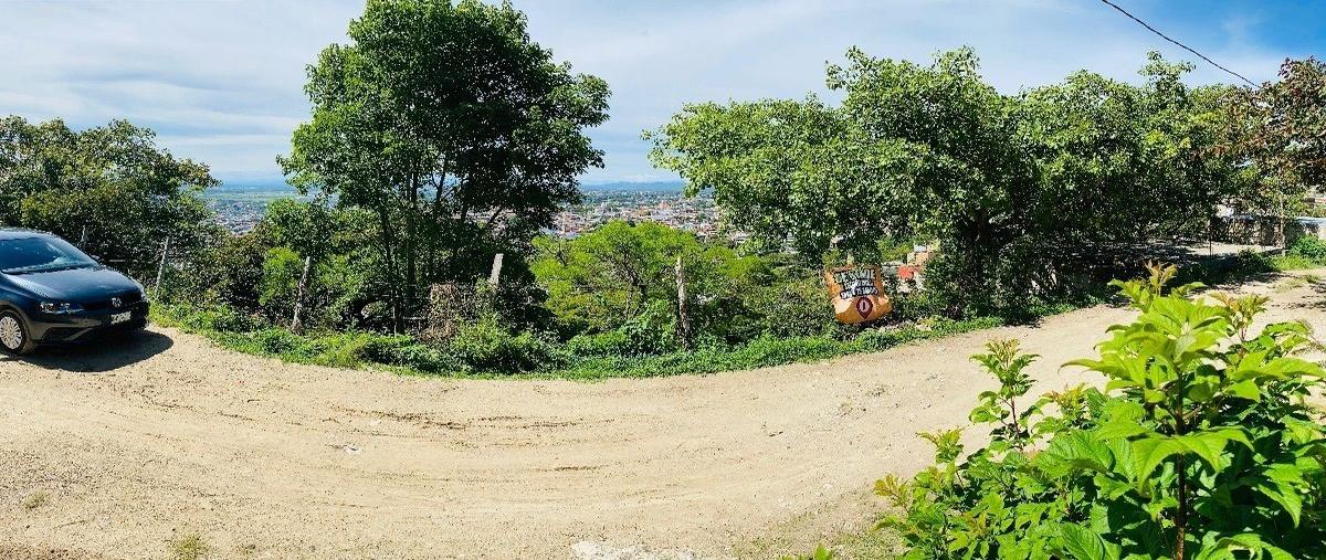 Foto de terreno habitacional en venta en 10 norte poniente , san miguel, comitán de domínguez, chiapas, 0 No. 03