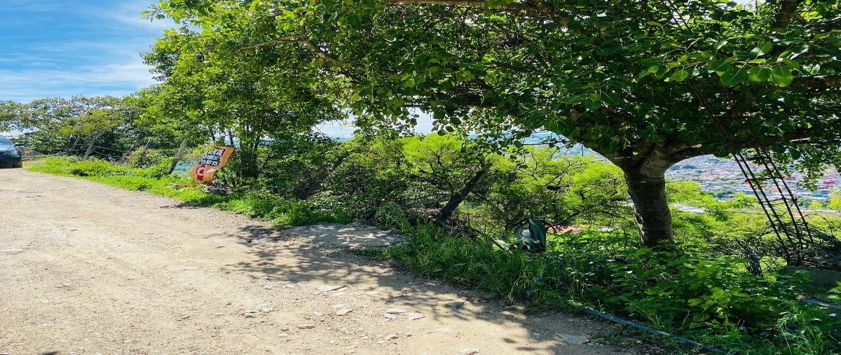 Foto de terreno habitacional en venta en 10 norte poniente , san miguel, comitán de domínguez, chiapas, 0 No. 04