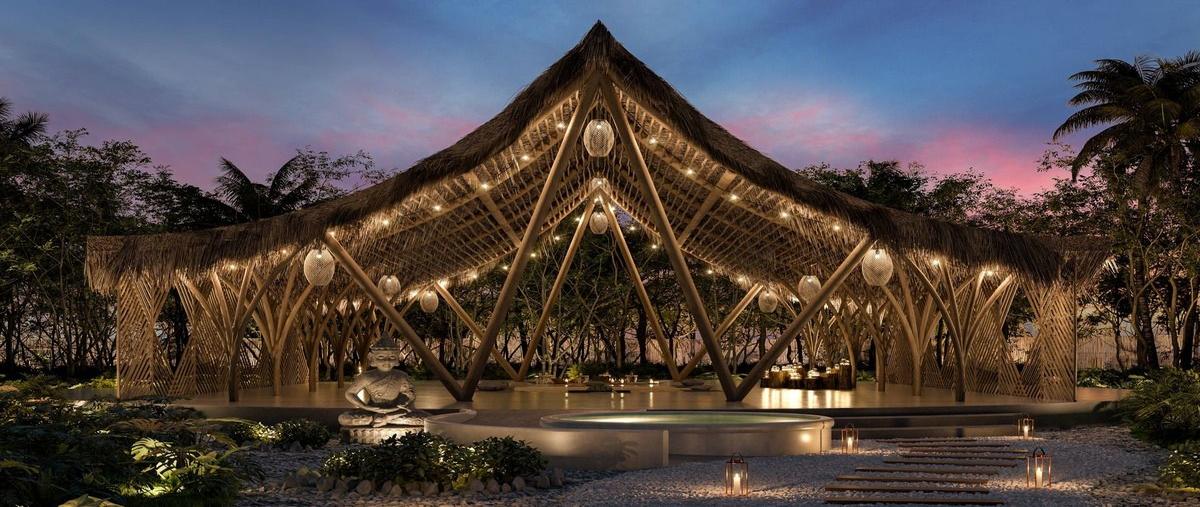 Foto de terreno habitacional en 10 , playa del carmen, solidaridad, quintana roo, 30130012 foto 04 Foto de terreno habitacional en venta en 10 , playa del carmen, solidaridad, quintana roo, 30130012 No. 04