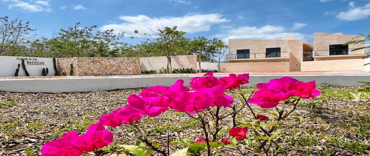 Foto de departamento en 10 , quintas baspul, chicxulub pueblo, yucatán, 30591519 foto 03 Foto de departamento en venta en 10 , quintas baspul, chicxulub pueblo, yucatán, 30591519 No. 03