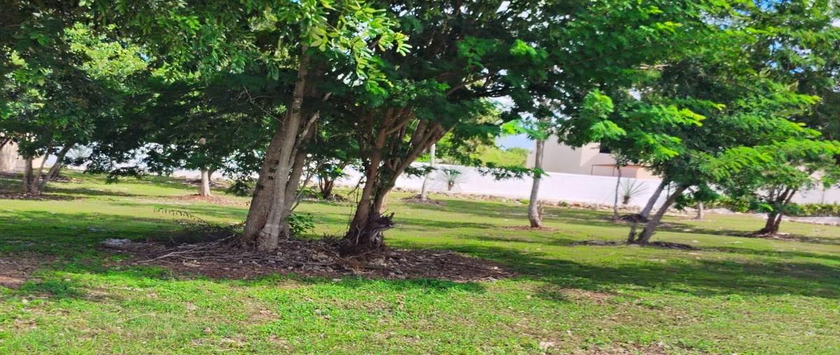 Foto de departamento en 10 , quintas baspul, chicxulub pueblo, yucatán, 30591519 foto 05 Foto de departamento en venta en 10 , quintas baspul, chicxulub pueblo, yucatán, 30591519 No. 05