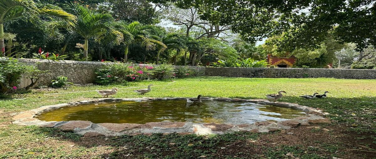 Foto de rancho en venta en 10 , san marcos nocoh, mérida, yucatán, 30170656 No. 03