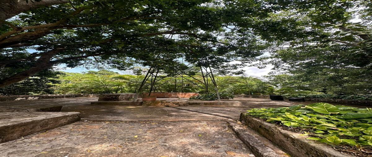 Foto de rancho en venta en 10 , san marcos nocoh, mérida, yucatán, 30170656 No. 05