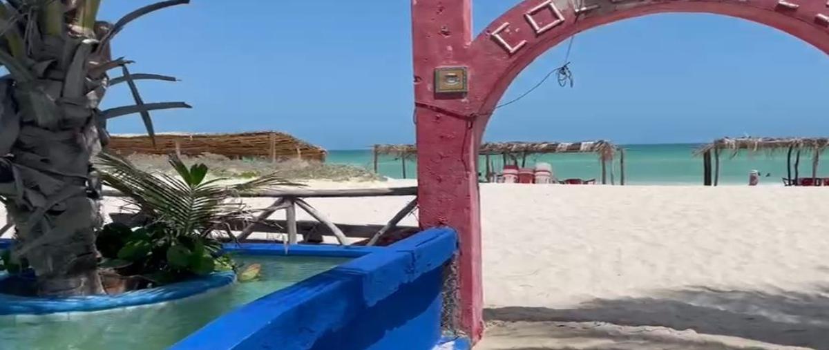 Foto de terreno habitacional en venta en 10 , sisal, hunucmá, yucatán, 0 No. 04