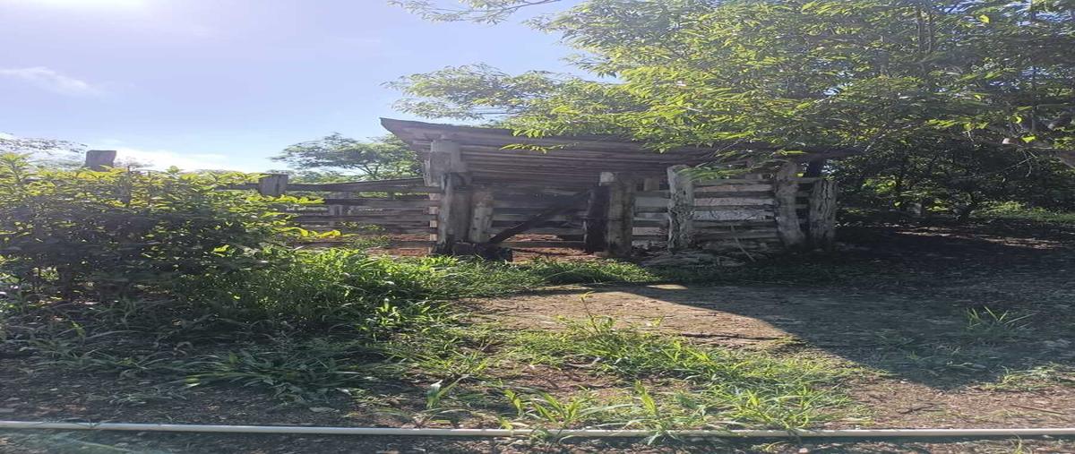 Foto de rancho en venta en 10 , sucila, sucilá, yucatán, 0 No. 03