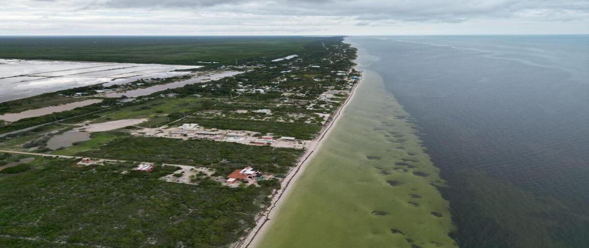 Foto de terreno comercial en venta en 10 , telchac puerto, telchac puerto, yucatán, 25020433 No. 03