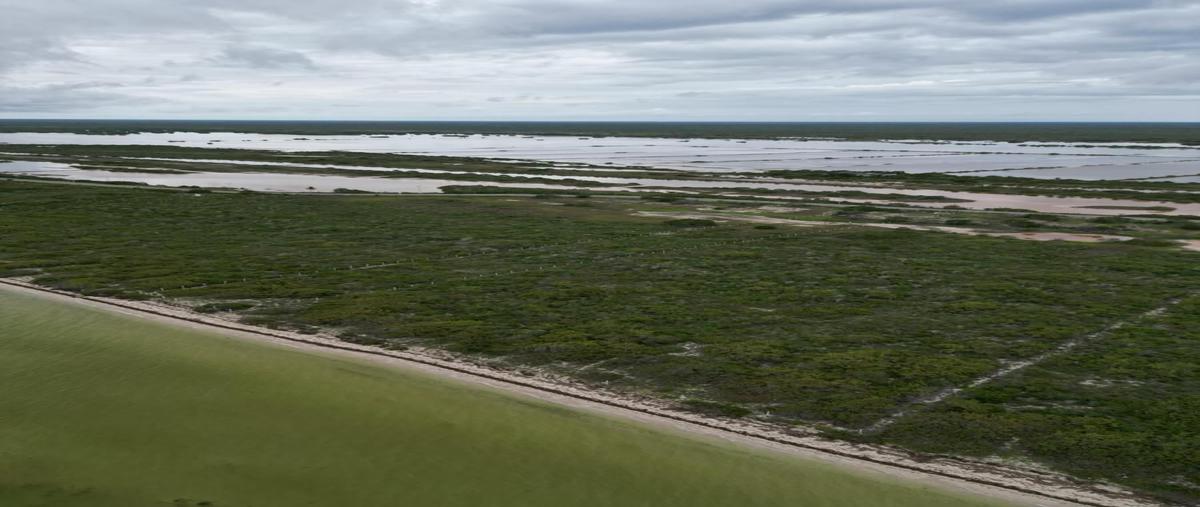 Foto de terreno comercial en venta en 10 , telchac puerto, telchac puerto, yucatán, 25020433 No. 04