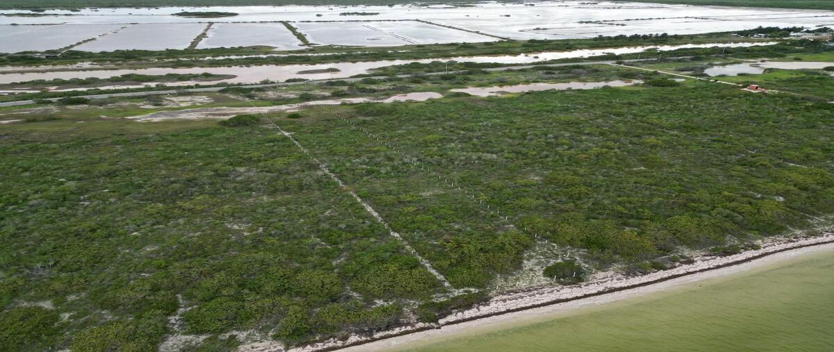 Foto de terreno comercial en venta en 10 , telchac puerto, telchac puerto, yucatán, 25020433 No. 05