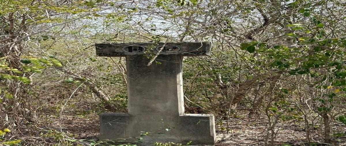 Foto de terreno habitacional en venta en 10 , temozon norte, mérida, yucatán, 0 No. 04