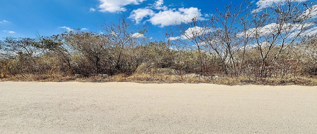 Foto de terreno habitacional en venta en 10 , temozon norte, mérida, yucatán, 0 No. 03
