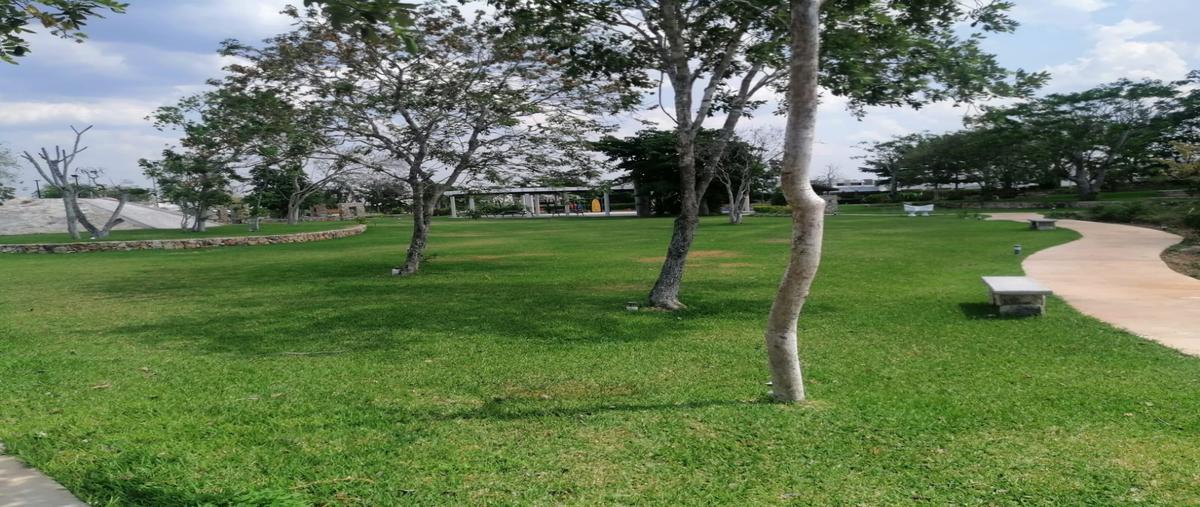 Foto de casa en condominio en venta en 10 , x-cuyum, conkal, yucatán, 28596505 No. 05