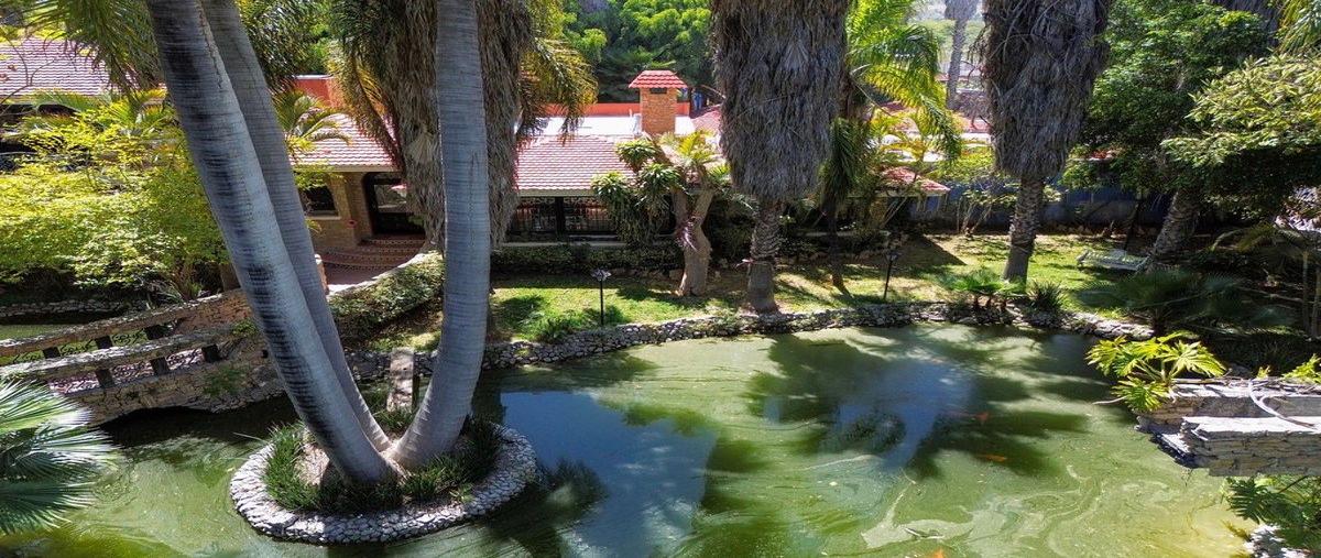 Foto de rancho en venta en 100 , tehuacán (tehuacán), tehuacán, puebla, 0 No. 08