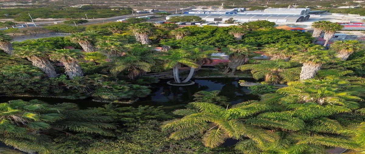 Foto de rancho en venta en 100 , tehuacán (tehuacán), tehuacán, puebla, 0 No. 10