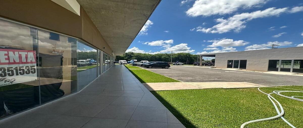 Foto de local en renta en 101 , paseos de opichen, mérida, yucatán, 0 No. 05