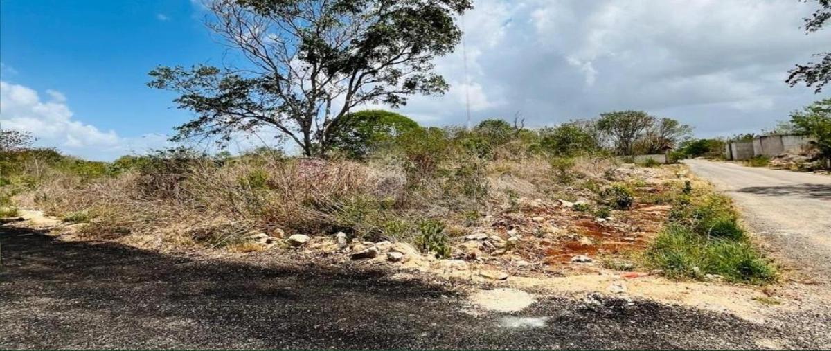 Foto de terreno habitacional en venta en 102 100, chichi suárez, mérida, yucatán, 0 No. 01