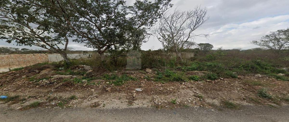 Foto de terreno habitacional en venta en 102 100, chichi suárez, mérida, yucatán, 0 No. 05